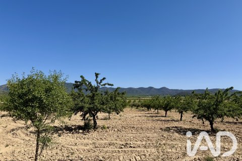 Parcela en venta en Ricote, Murcia, España 14000 m2 No. 188145 - foto 6