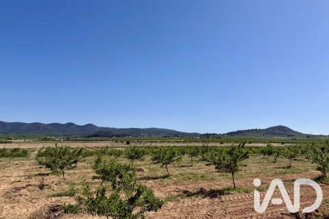 Parcela en venta en Ricote, Murcia, España 14000 m2 No. 188145 - foto 4