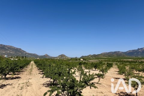 Parcela en venta en Ricote, Murcia, España 14000 m2 No. 188145 - foto 9