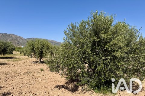 Parcela en venta en Ricote, Murcia, España 14000 m2 No. 188145 - foto 8