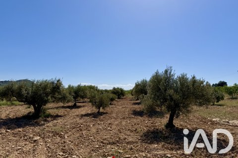 Parcela en venta en Ricote, Murcia, España 14000 m2 No. 188145 - foto 3