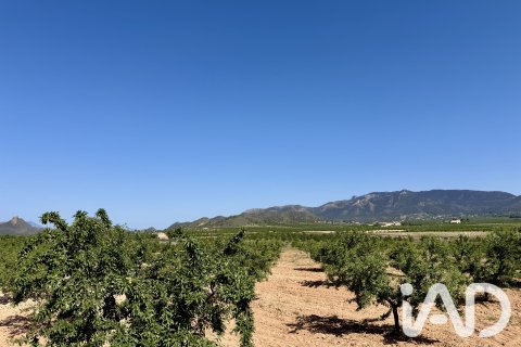 Parcela en Ricote, Murcia, España 14000 m2 No. 188145