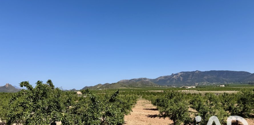 Parcela en Ricote, Murcia, España 14000 m2 No. 188145