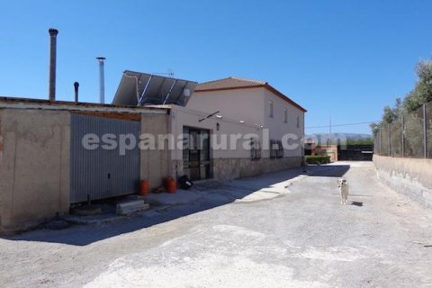 Talo myytävänä Cela, Almeria, Espanja, 4 makuuhuonetta, 416 m2 No. 138864 - kuva 24