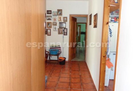 Talo myytävänä Cela, Almeria, Espanja, 4 makuuhuonetta, 416 m2 No. 138864 - kuva 14