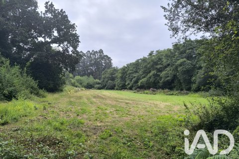 Land zum Verkauf in Valdovino, A Coruna, Spanien 6208 m2 Nr. 187652 - Foto 2