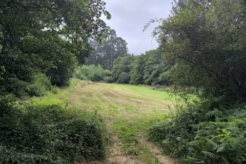 Land in Valdovino, A Coruna, Spanien 6208 m2 Nr. 187652
