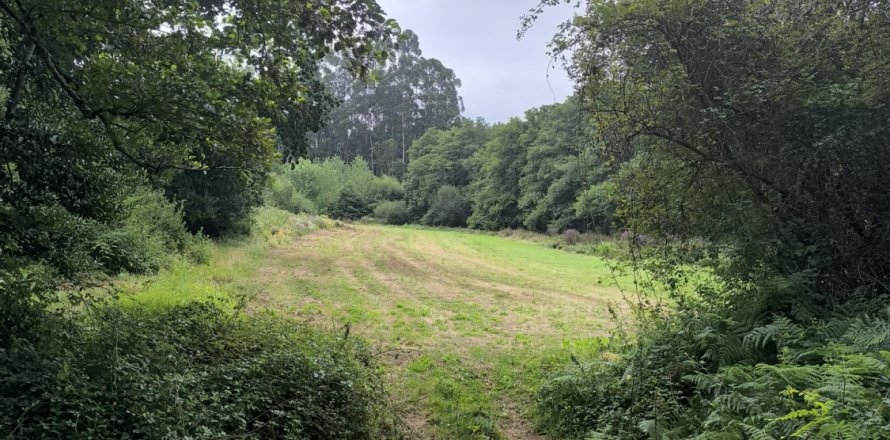 Land in Valdovino, A Coruna, Spanien 6208 m2 Nr. 187652