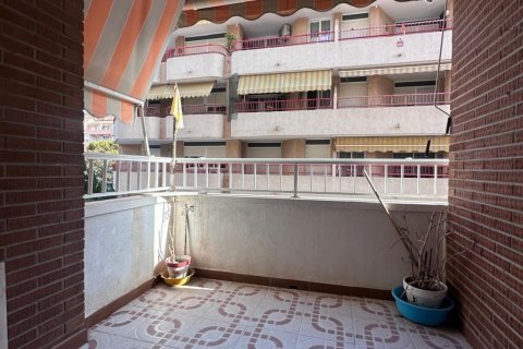 Apartment à vendre à Torrevieja, Alicante, Espagne, 2 chambres, 73 m2 No. 184199 - photo 11