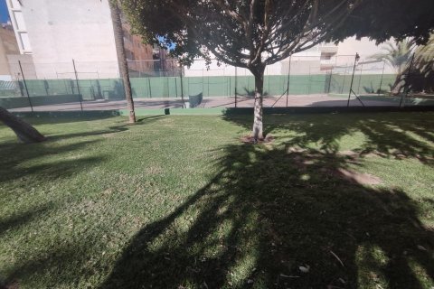 Wohnung zum Verkauf Torrevieja, Alicante, Spanien 4 Schlafzimmer, 227 m2 Nr. 109364 - Foto 6