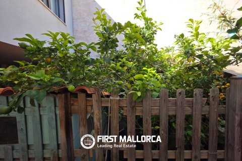 Villa for rent in Palma de Majorca, Mallorca, Spain 3 bedrooms, 110 sq.m. No. 166208 - photo 14