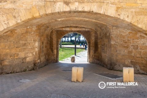 Apartment for sale in Palma de Majorca, Mallorca, Spain 3 bedrooms, 216 sq.m. No. 166210 - photo 25