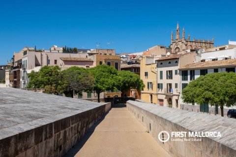 Apartment for sale in Palma de Majorca, Mallorca, Spain 3 bedrooms, 216 sq.m. No. 166210 - photo 26