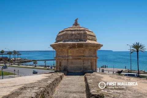 Apartment for sale in Palma de Majorca, Mallorca, Spain 3 bedrooms, 216 sq.m. No. 166210 - photo 28