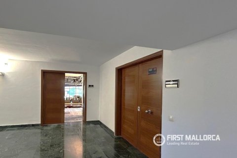 Commercial property for sale in Palma de Majorca, Mallorca, Spain 288 sq.m. No. 166211 - photo 20