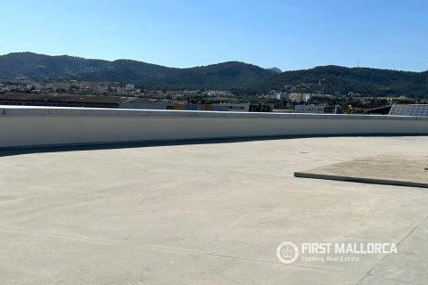Commercial property for sale in Palma de Majorca, Mallorca, Spain 288 sq.m. No. 166211 - photo 12