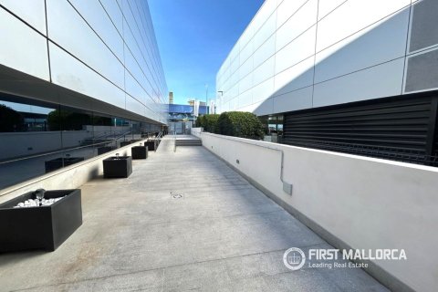 Commercial property for sale in Palma de Majorca, Mallorca, Spain 288 sq.m. No. 166211 - photo 15