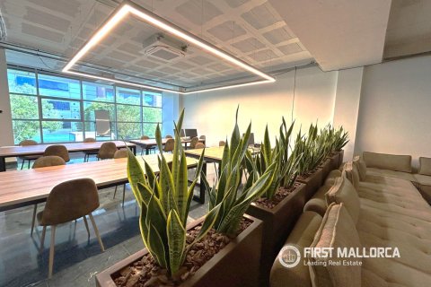 Commercial property for sale in Palma de Majorca, Mallorca, Spain 288 sq.m. No. 166211 - photo 2