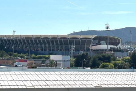 Commercial property for sale in Palma de Majorca, Mallorca, Spain 288 sq.m. No. 166211 - photo 14