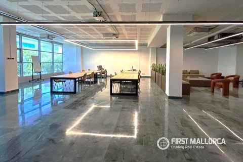 Commercial property for sale in Palma de Majorca, Mallorca, Spain 288 sq.m. No. 166211 - photo 6