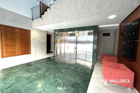 Commercial property for sale in Palma de Majorca, Mallorca, Spain 288 sq.m. No. 166211 - photo 16