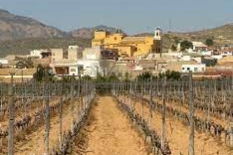 Bungalow till salu i Hondon De Las Nieves, Alicante, Spanien 3 sovrum, 120 kvm. Nr. 142432 - foto 11