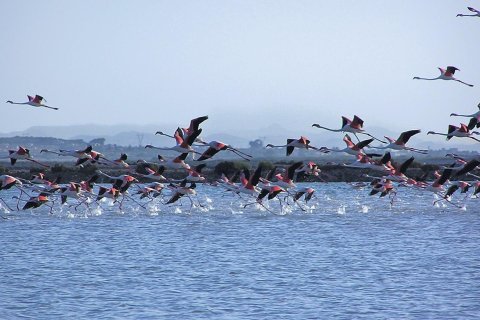 Продажа квартиры в Гран Алакант, Аликанте, Испания 3 спальни, 97.72м2 №165774 - фото 24