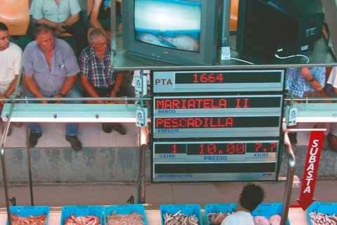 Продажа квартиры в Гран Алакант, Аликанте, Испания 3 спальни, 97.72м2 №165774 - фото 27