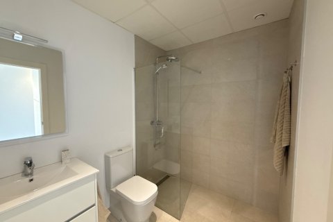 Wohnung zum Verkauf in Mil Palmeras, Alicante, Spanien 3 Schlafzimmer,  Nr. 146174 - Foto 22