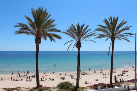 Wohnung zum Verkauf in Mil Palmeras, Alicante, Spanien 3 Schlafzimmer,  Nr. 146174 - Foto 5