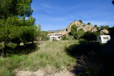 Finca in vendita a Orxeta, Alicante, Spagna 3 camere da letto, 254 mq. N° 192499 - foto 4