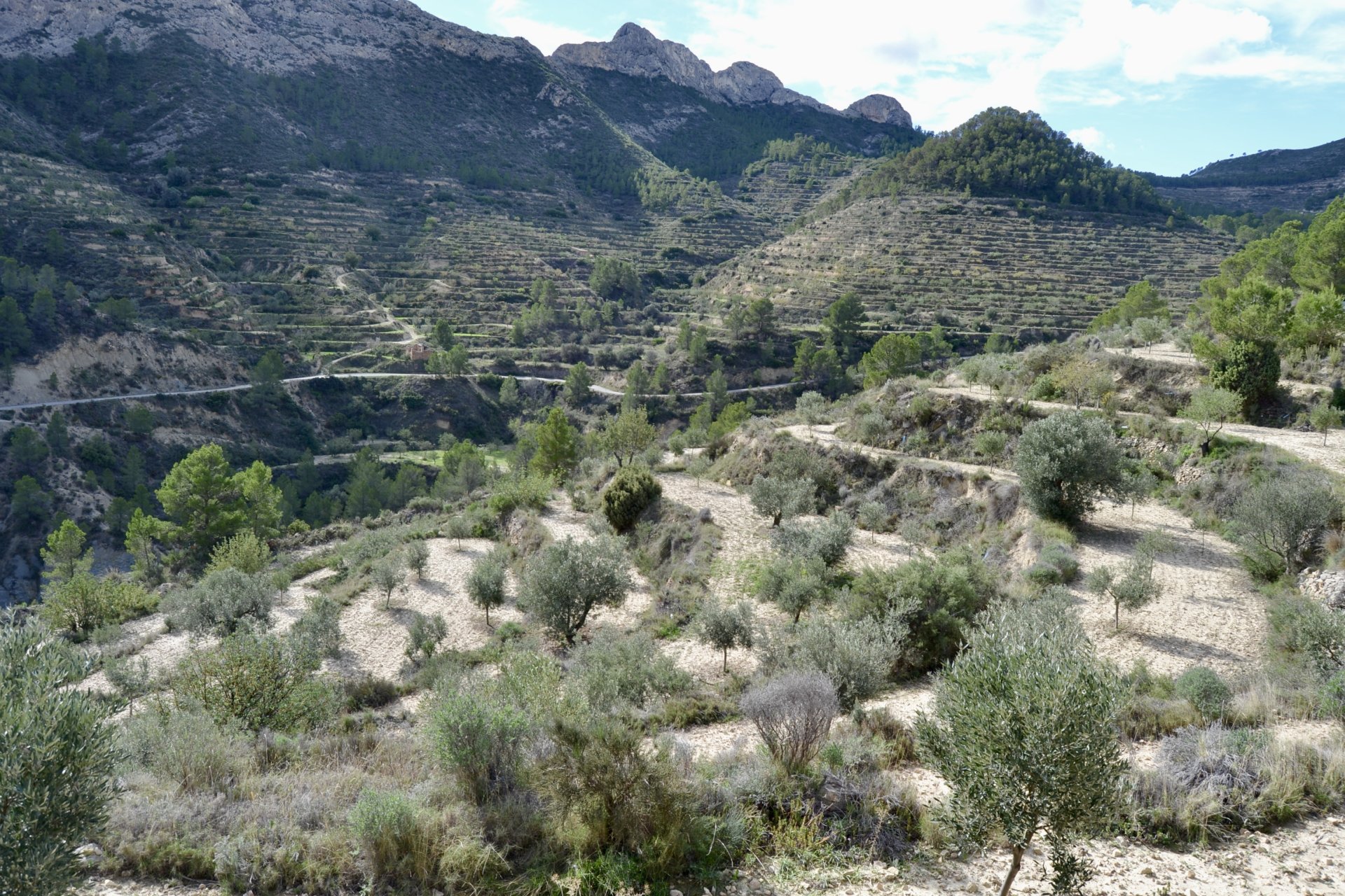 Terreno a Relleu, Alicante, Spagna N° 192502