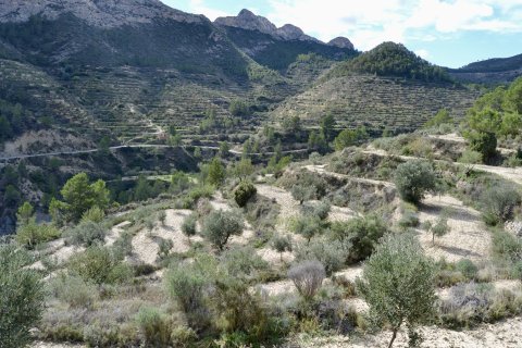 Terreno in vendita a Relleu, Alicante, Spagna N° 192502 - foto 5