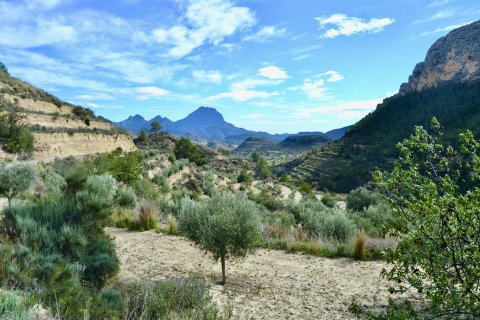 Terreno a Relleu, Alicante, Spagna N° 192502