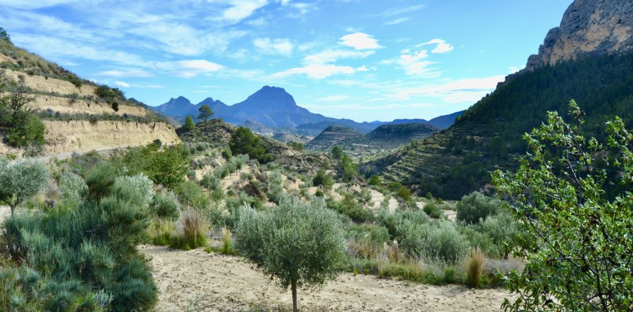 Terreno a Relleu, Alicante, Spagna N° 192502