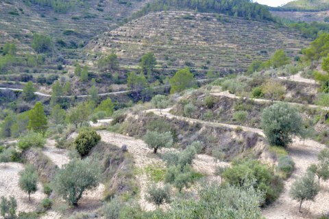 Terreno in vendita a Relleu, Alicante, Spagna N° 192502 - foto 8