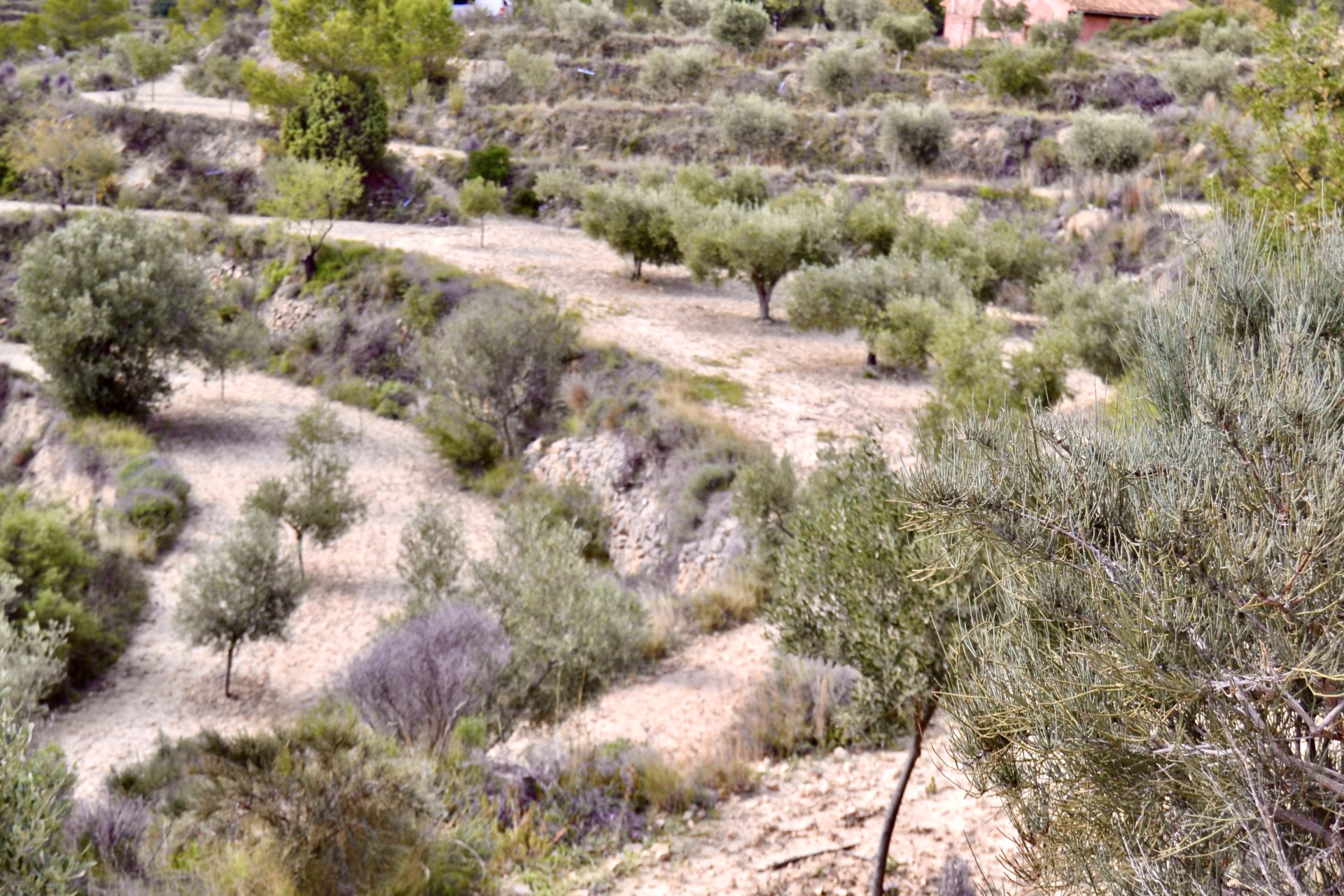 Terreno a Relleu, Alicante, Spagna N° 192502
