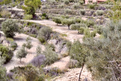 Terreno in vendita a Relleu, Alicante, Spagna N° 192502 - foto 9