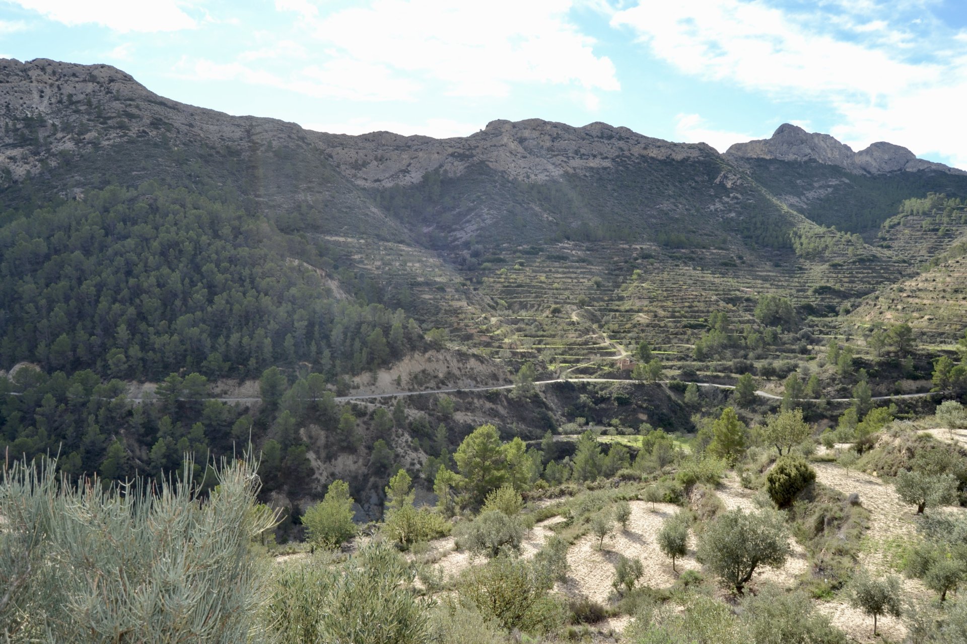 Terreno a Relleu, Alicante, Spagna N° 192502
