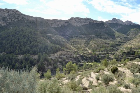 Terreno in vendita a Relleu, Alicante, Spagna N° 192502 - foto 7