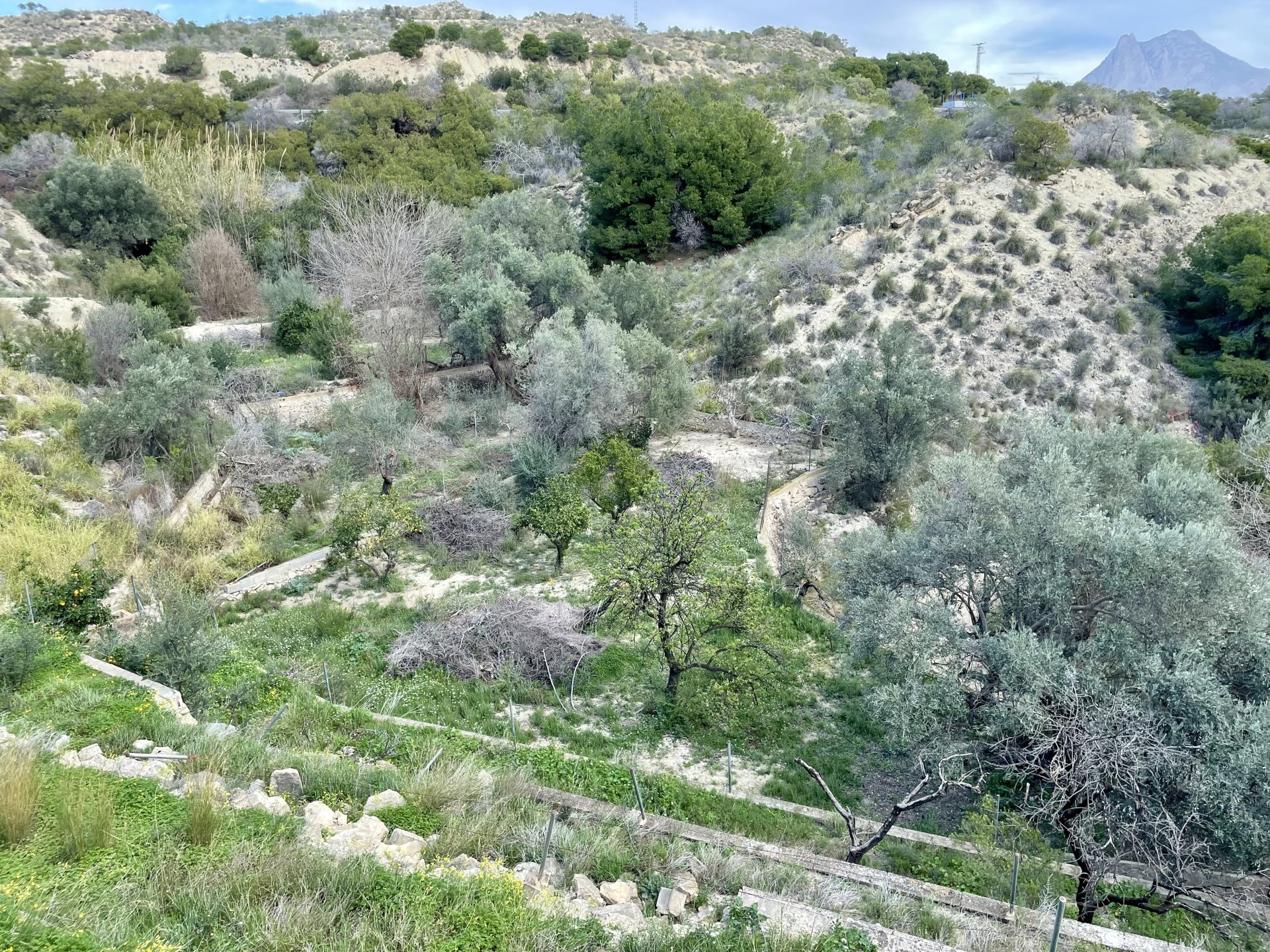 Finca en Villajoyosa, Alicante, España 4 dormitorios, 80 m2 No. 192497