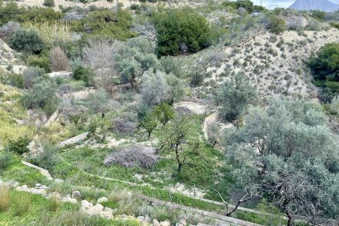 Finca in vendita a Villajoyosa, Alicante, Spagna 4 camere da letto, 80 mq. N° 192497 - foto 30