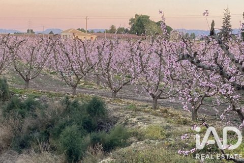 Propiedad comercial en venta en Cieza, Murcia, España No. 187773 - foto 15