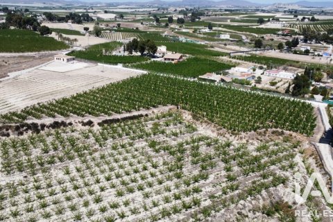 Propiedad comercial en Cieza, Murcia, España No. 187773