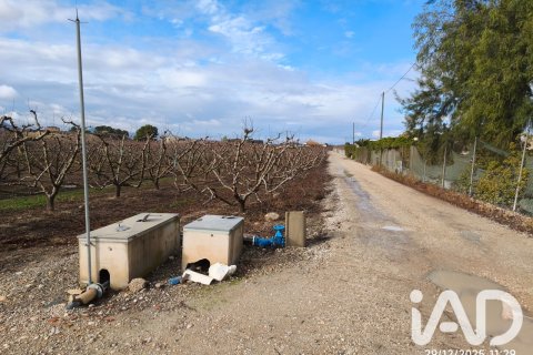 Propiedad comercial en venta en Cieza, Murcia, España No. 187773 - foto 8
