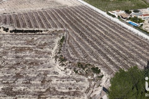 Propiedad comercial en venta en Cieza, Murcia, España No. 187773 - foto 11