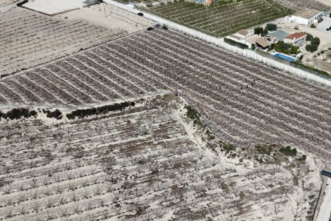 Propiedad comercial en venta en Cieza, Murcia, España No. 187773 - foto 10