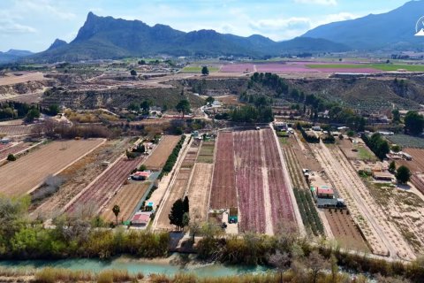 Propiedad comercial en venta en Cieza, Murcia, España No. 187773 - foto 3