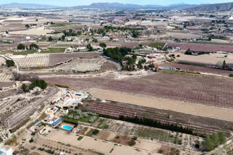 Propiedad comercial en venta en Cieza, Murcia, España No. 187773 - foto 6