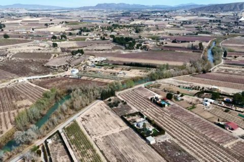 Propiedad comercial en venta en Cieza, Murcia, España No. 187773 - foto 7